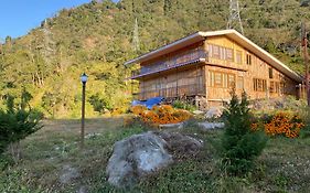 Log House in Woods